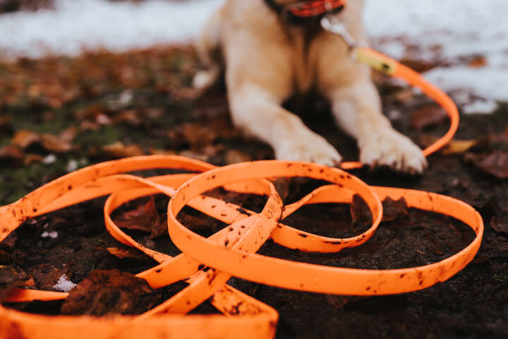 HUNTER Suchleine Convenience